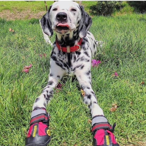 Qumy Large Breed dog shoes water resistant snow ice hiking size 1 blue - Picture 7 of 7